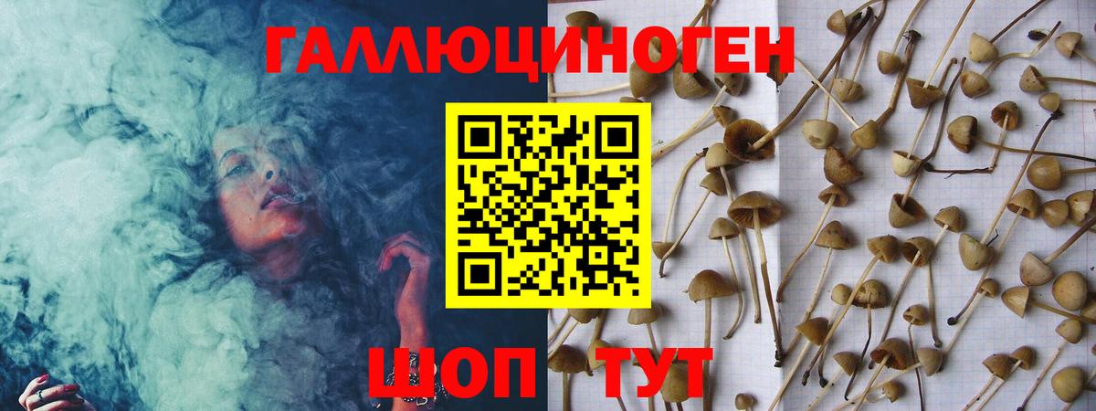 Фурманов  сколько стоит  Псилоцибиновые грибы Psilocybine cubensis  Вход с VPN  Псилоцибиновые грибы Psilocybe 