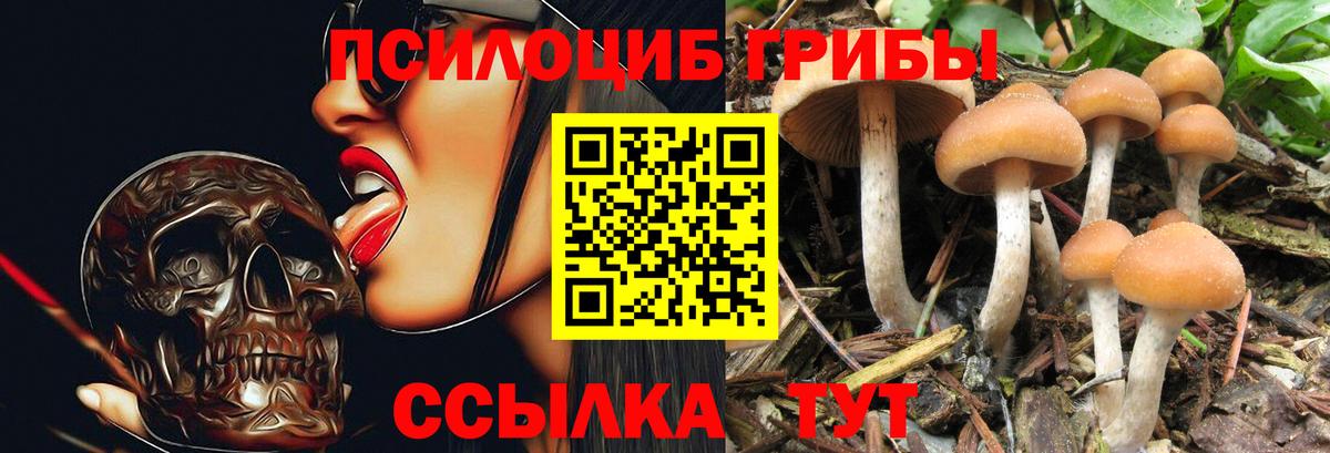 Псилоцибиновые грибы ЛСД Фурманов