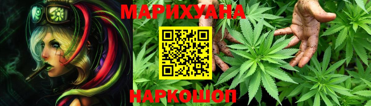 Бошки Шишки план Фурманов