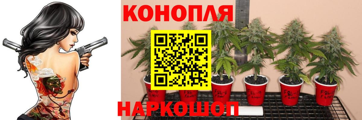 МАРИХУАНА ГИДРОПОН  Конопля гибрид  Бошки Шишки марихуана  Фурманов  Вход с VPN 
